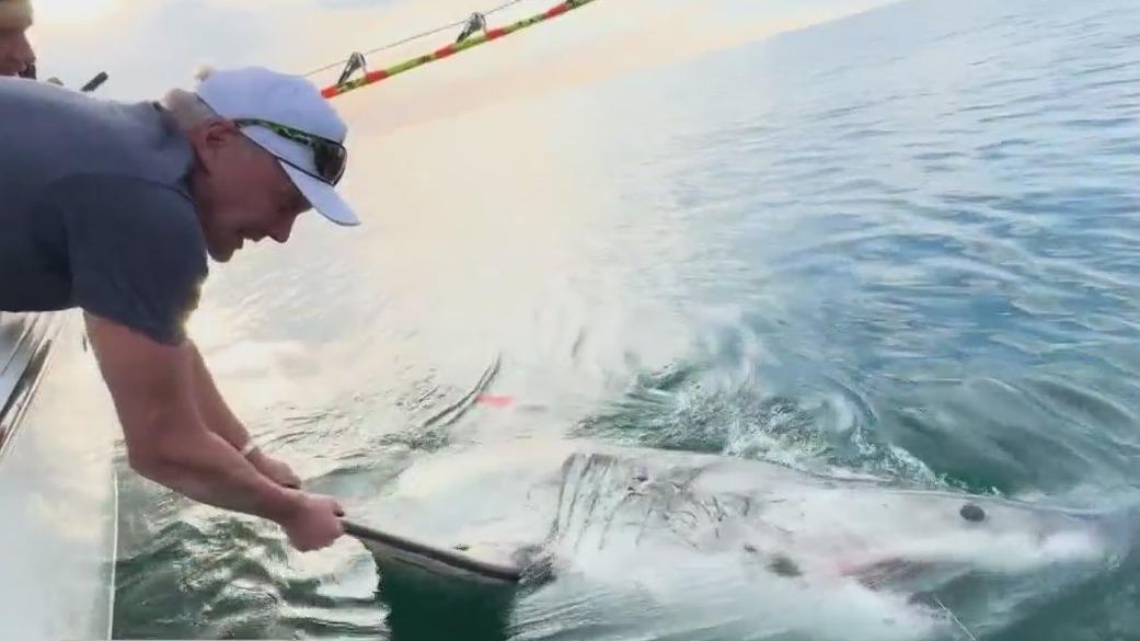 Pastor Ed Young catches, tags Great White Shark